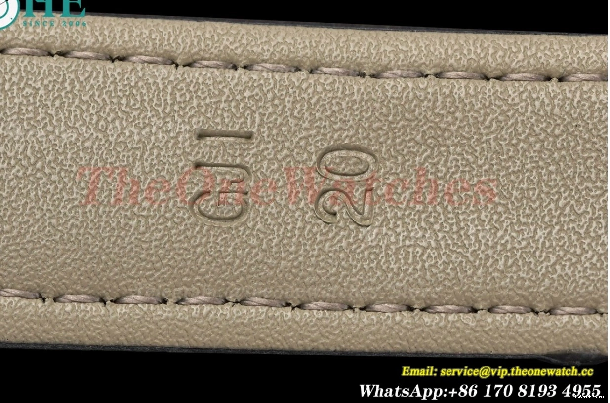 PVD Gradient Seamaster Blue Dial GDF 41mm MY8215 LE 0311